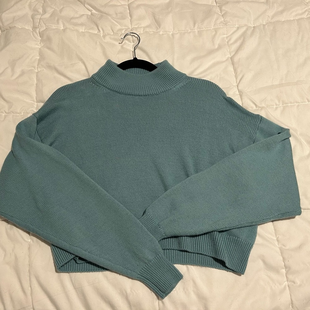 Aritzia 100% merino wool sweater